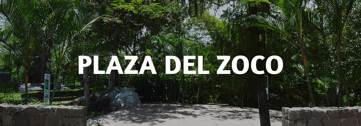 plazaZoco